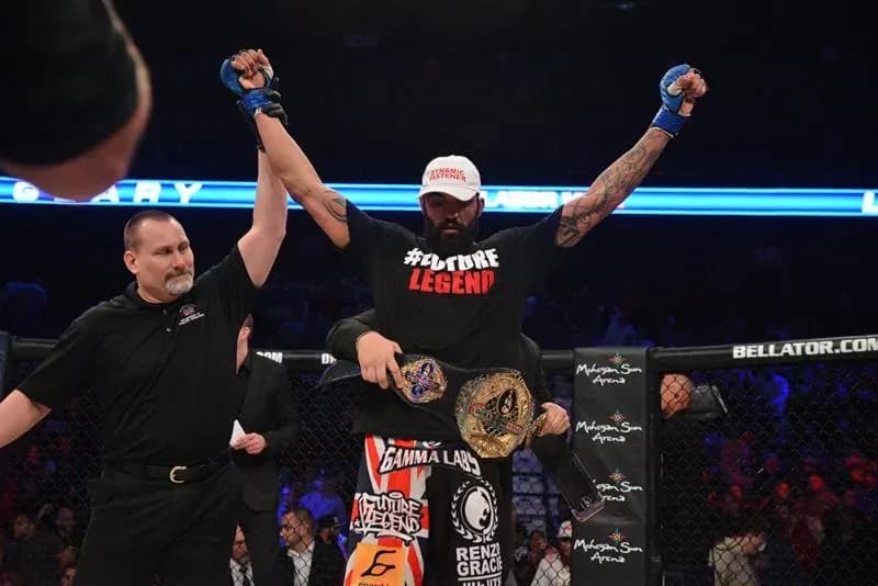MMA article image