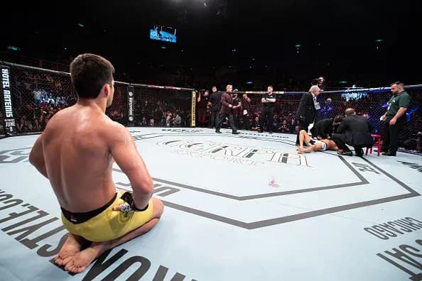 MMA article image