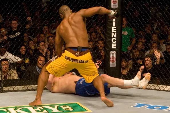 MMA Knockouts