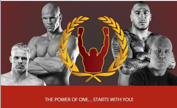 MMA article image