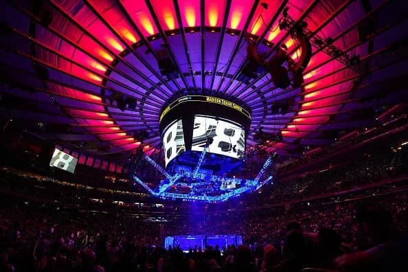 MMA in 2022