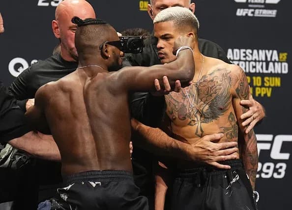 UFC 293