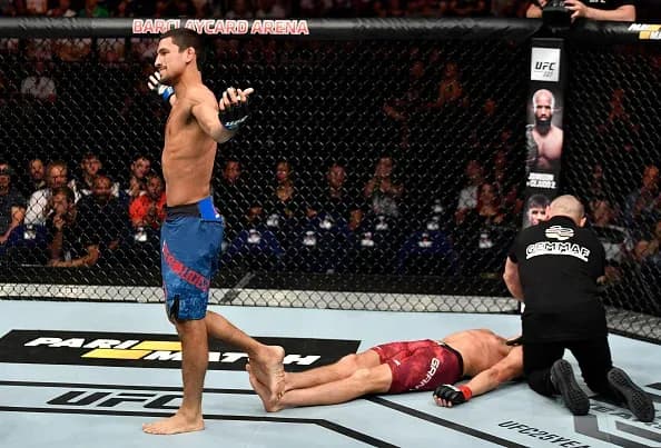 MMA article image