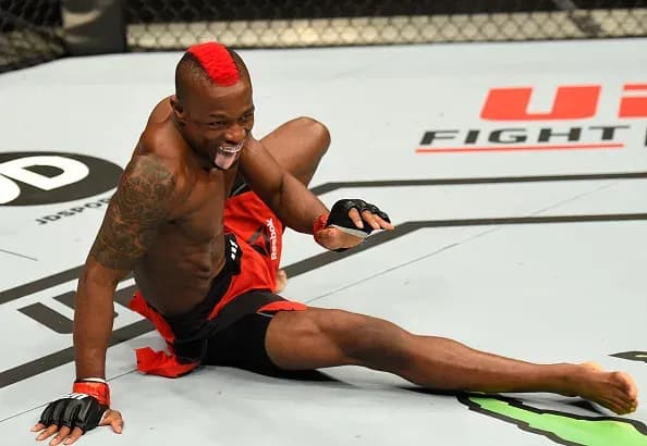 MMA article image