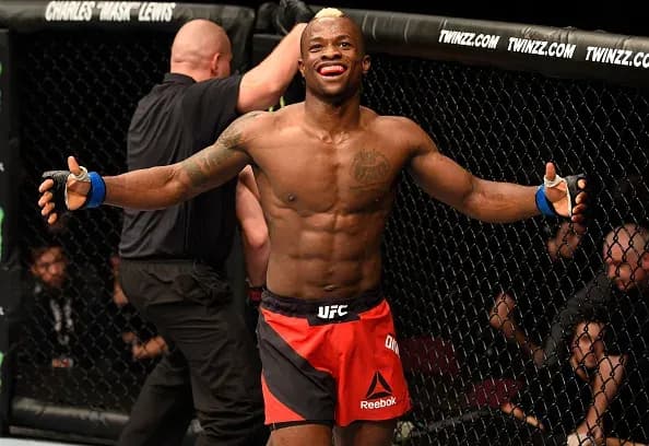 MMA article image