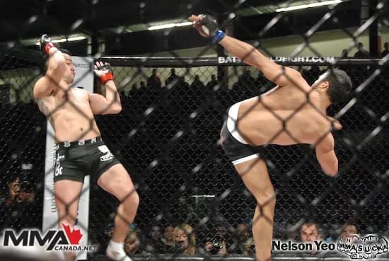MMA article image