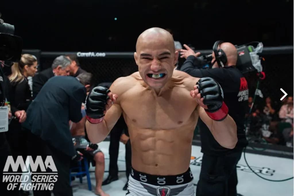 MMA article image