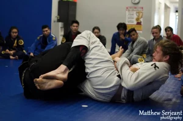 MMA article image