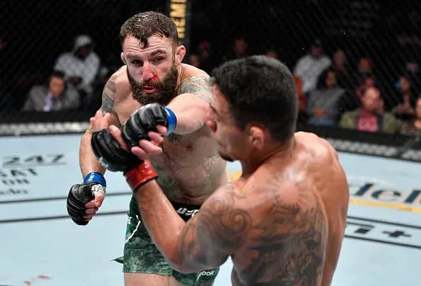 Michael Chiesa