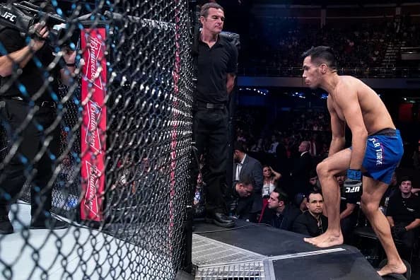 MMA article image