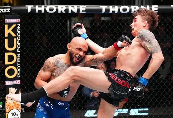 MMA article image