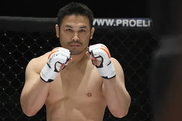 MMA article image