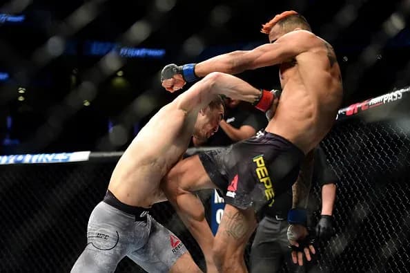 MMA article image