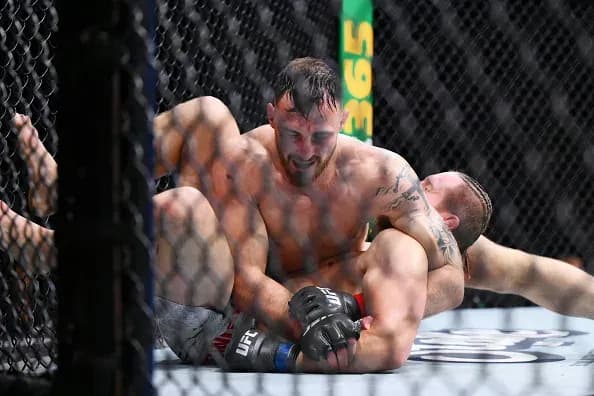 MMA article image