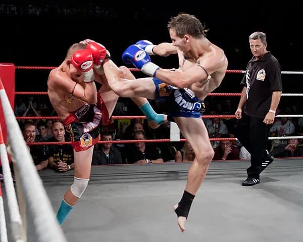 MMA article image