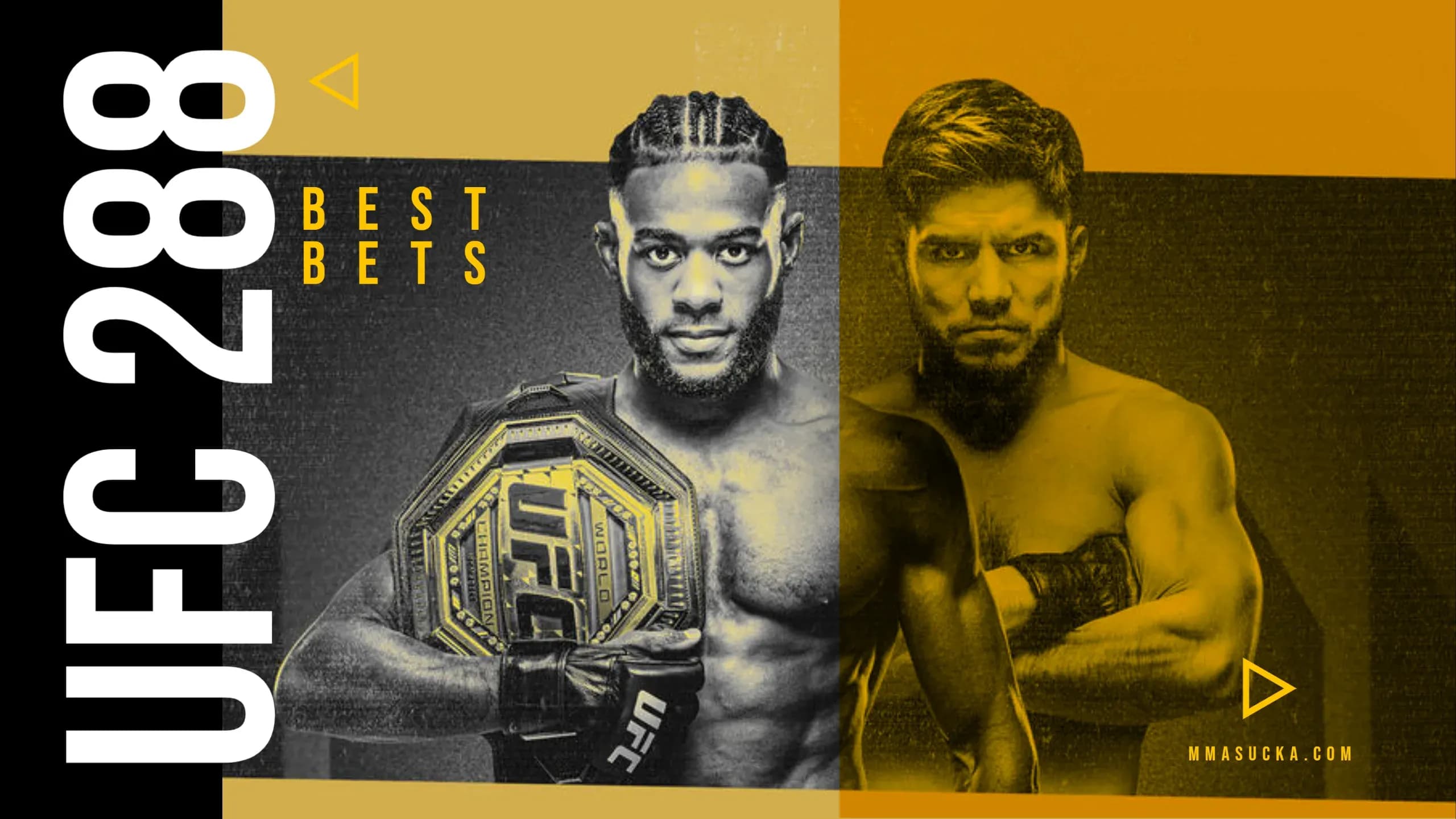 UFC 288