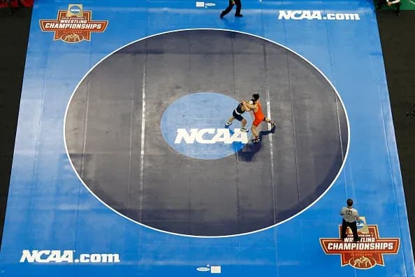MMA article image