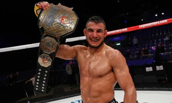MMA article image