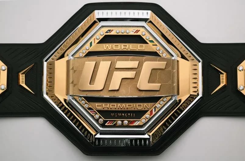 MMA article image