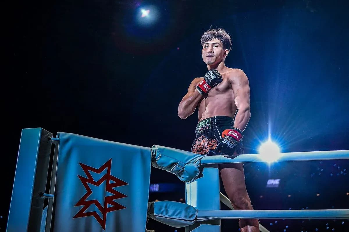 MMA article image