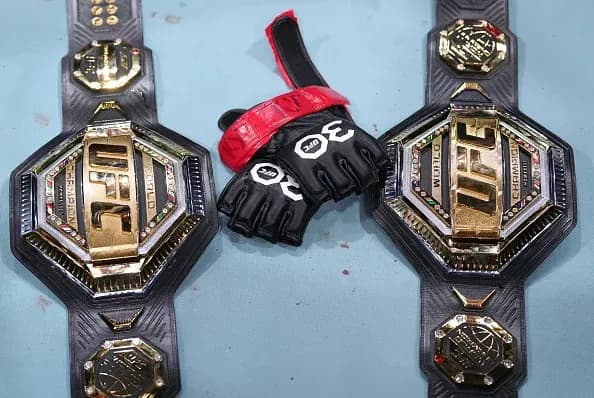 MMA article image
