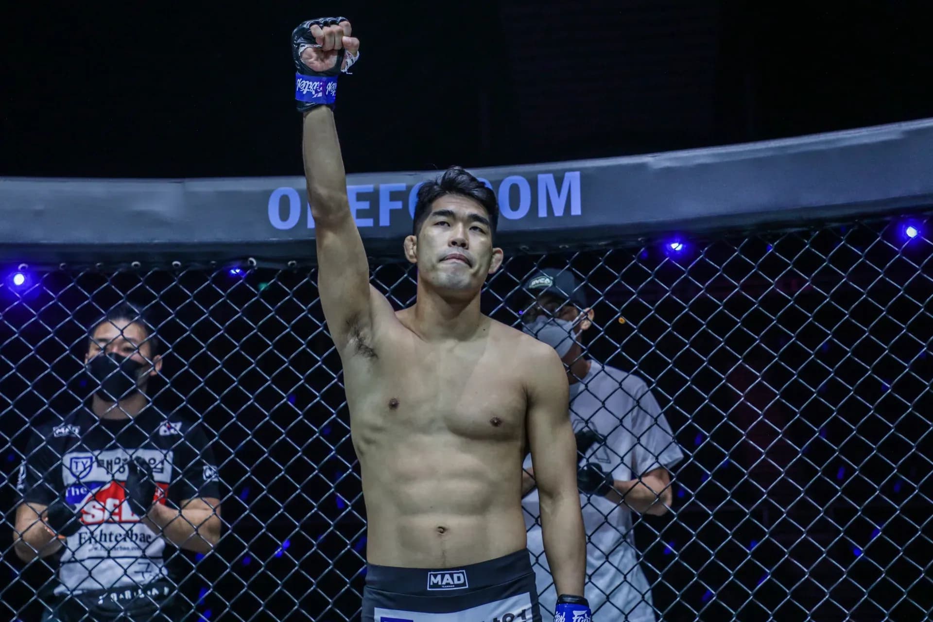 MMA article image