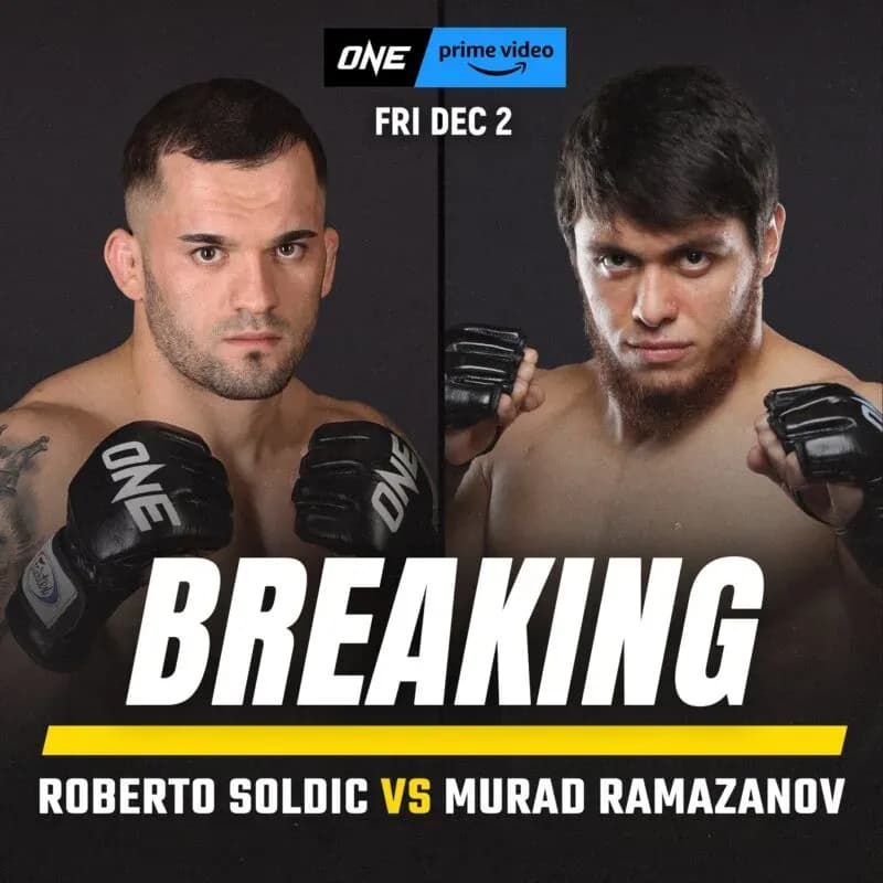 MMA article image