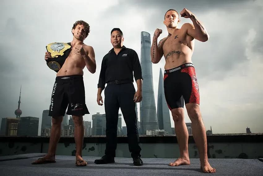 MMA article image