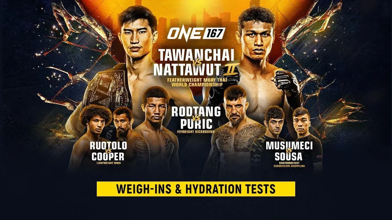 MMA article image