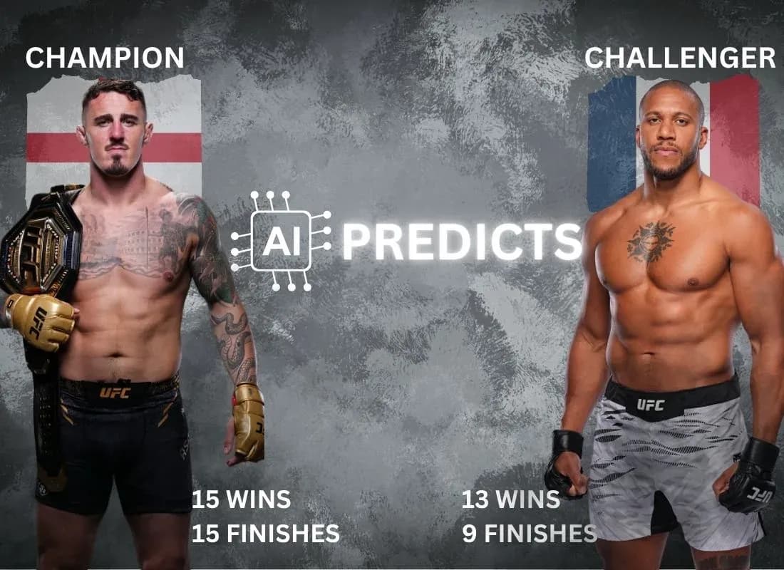 MMA article image