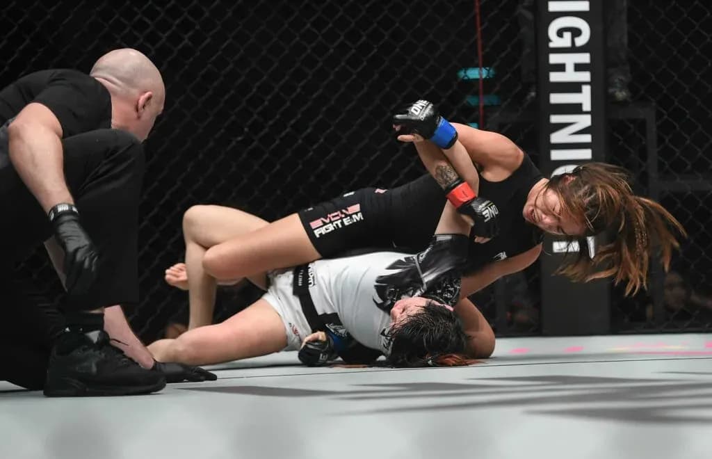 MMA article image