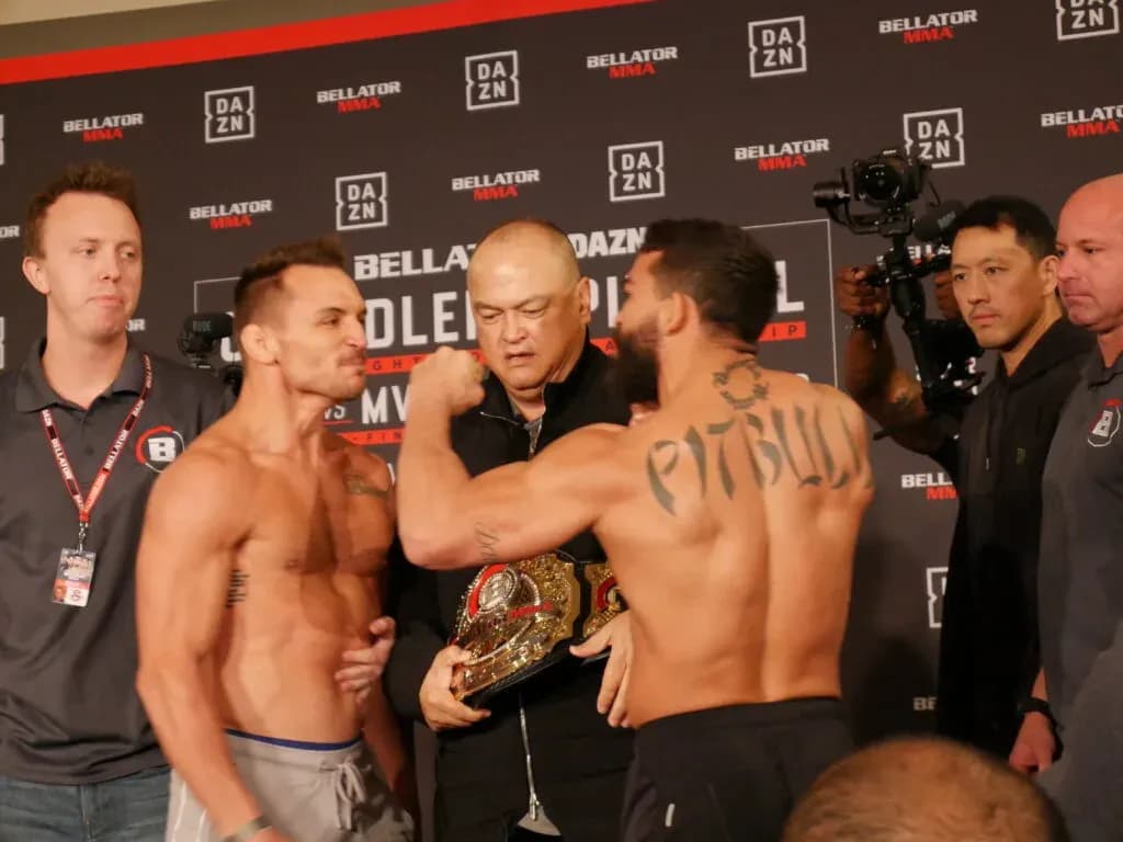 MMA article image