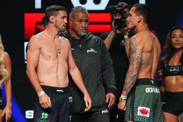 MMA article image