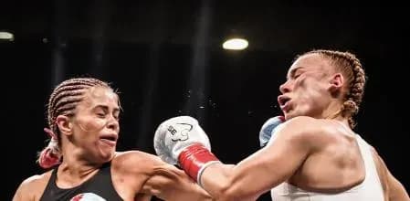 MMA article image
