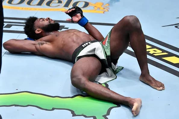 Petr Yan - Aljamain Sterling