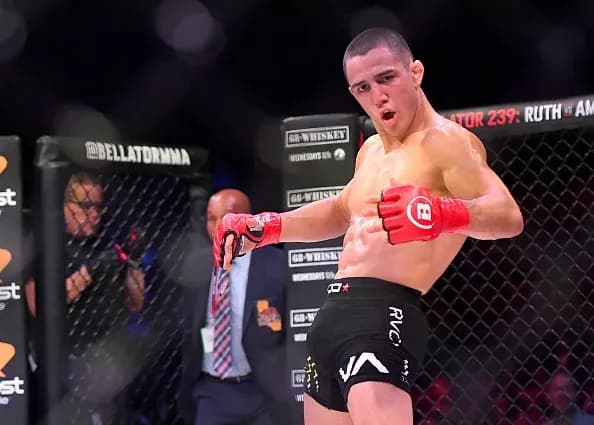 MMA article image
