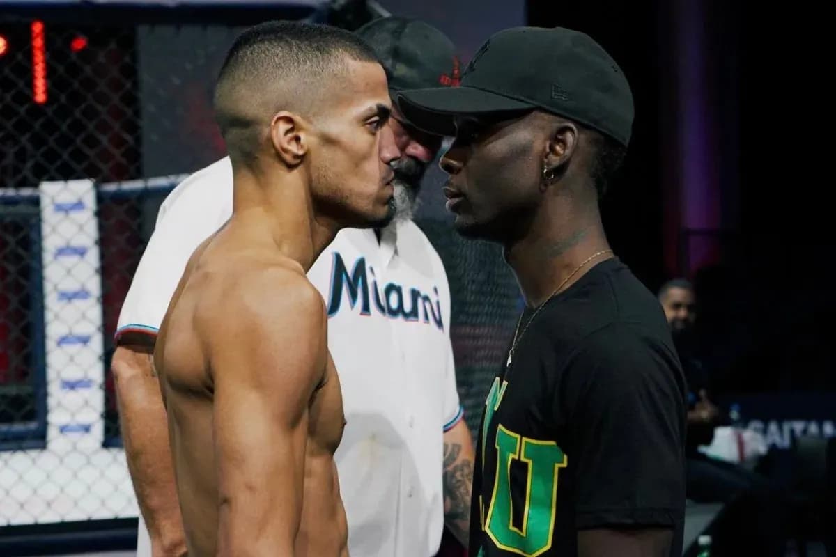 MMA article image