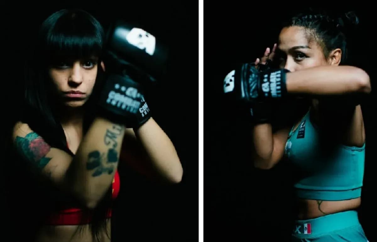 MMA article image