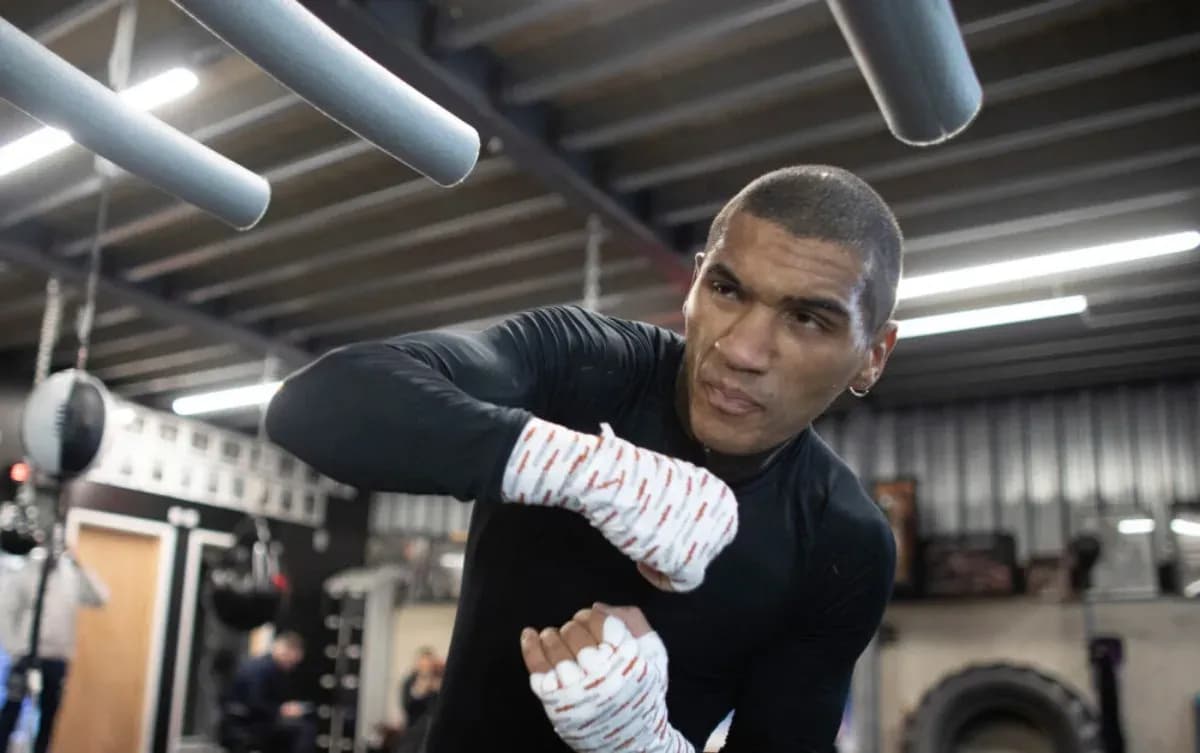 MMA article image
