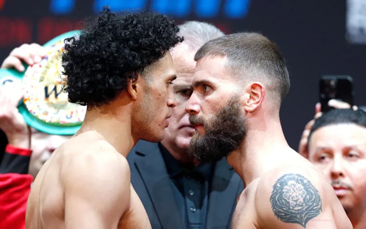 MMA article image