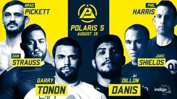 MMA article image