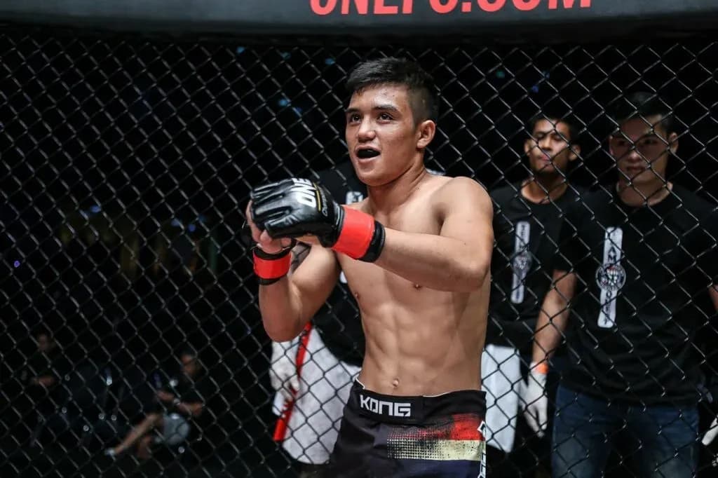 MMA article image