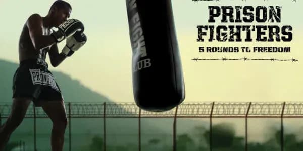 MMA article image