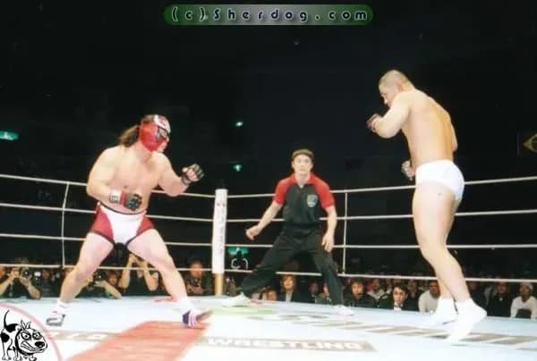 Pro Wrestlers In MMA