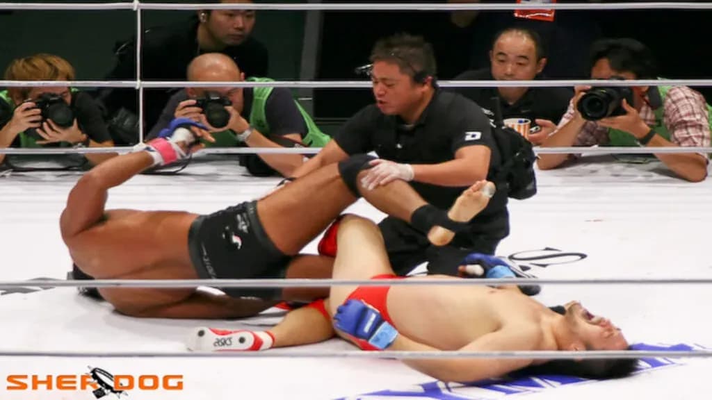 Pro Wrestlers In MMA