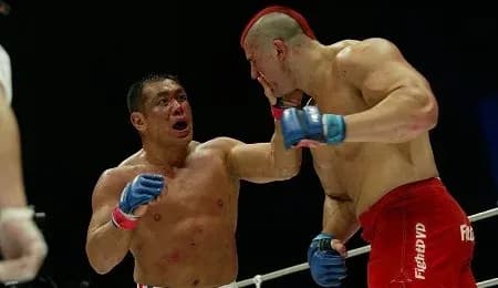 Pro Wrestlers In MMA