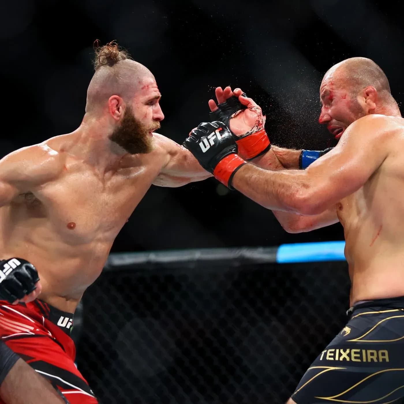 Jiri Prochazka vs. Glover Teixeira