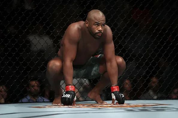 MMA article image