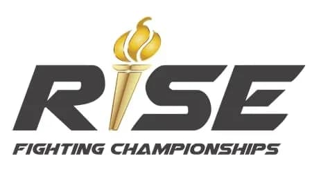 MMA article image