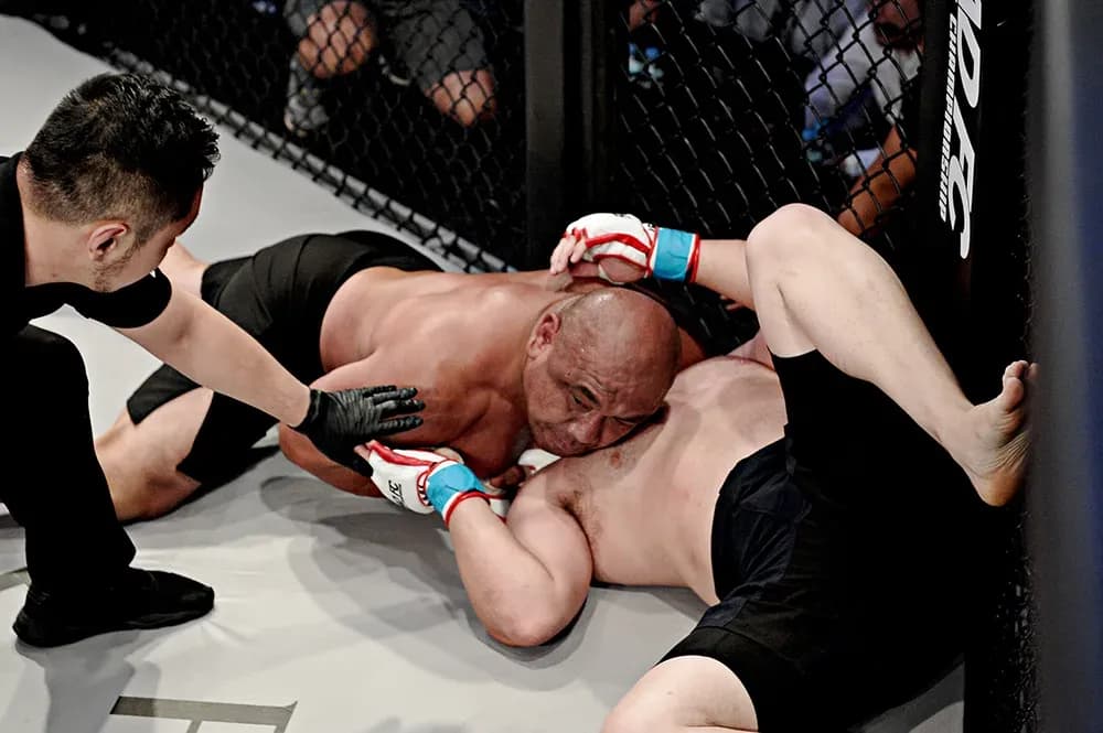 MMA article image